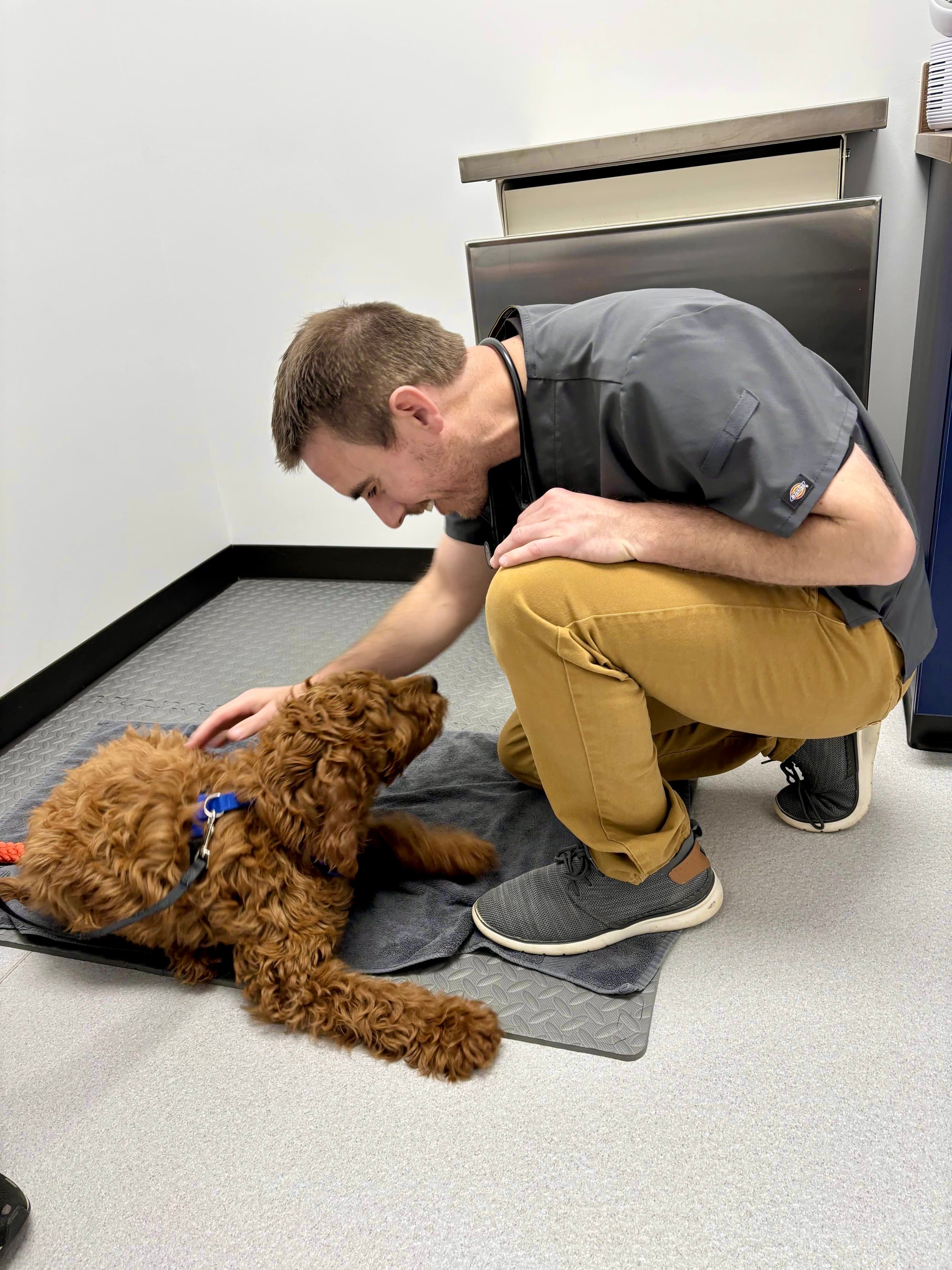 Dr. Robbie Unsell with a puppy at Red Rock Veterinary Health in Colorado Springs