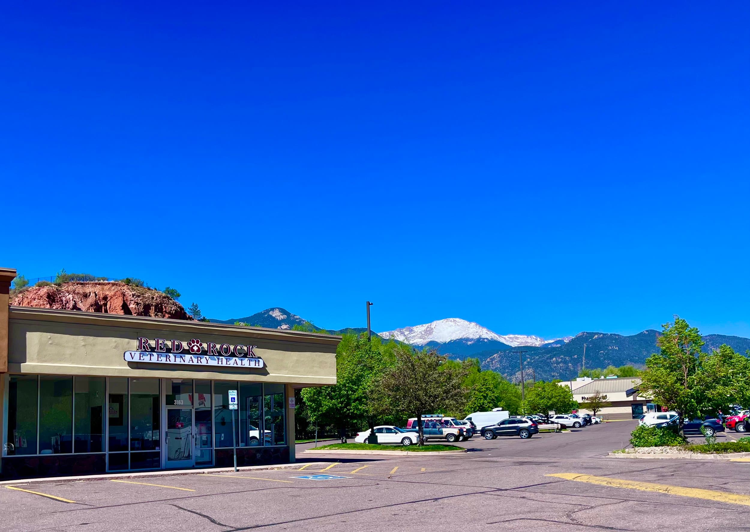 Red Rock Vet in Red Rock Canyon backdropped by Pikes Peak